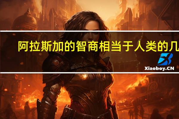 阿拉斯加的智商相当于人类的几岁