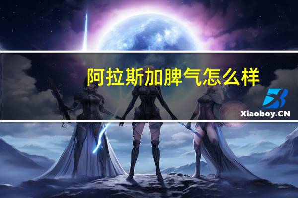 阿拉斯加脾气怎么样