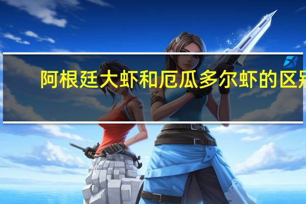 阿根廷大虾和厄瓜多尔虾的区别