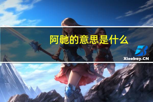 阿毑的意思是什么
