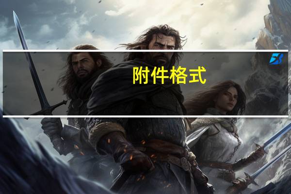 附件格式