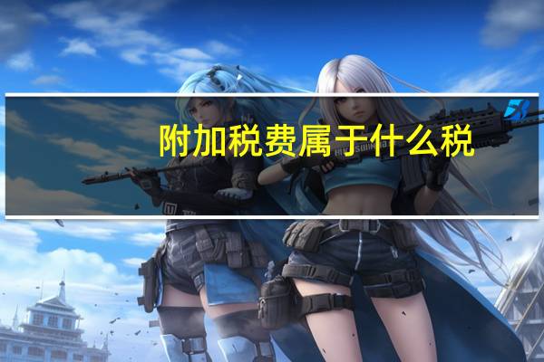 附加税费属于什么税