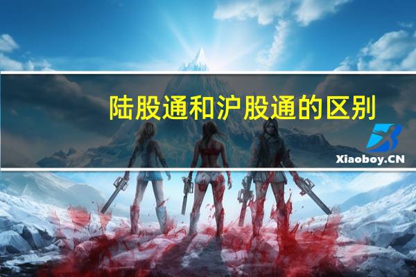陆股通和沪股通的区别
