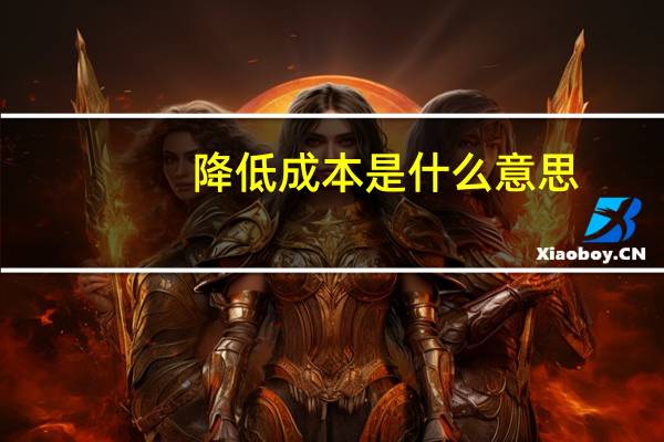 降低成本是什么意思