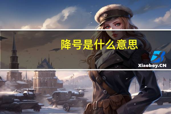 降号是什么意思