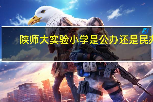 陕师大实验小学是公办还是民办