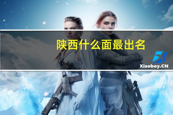 陕西什么面最出名