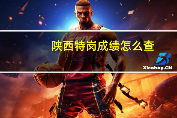 陕西特岗成绩怎么查