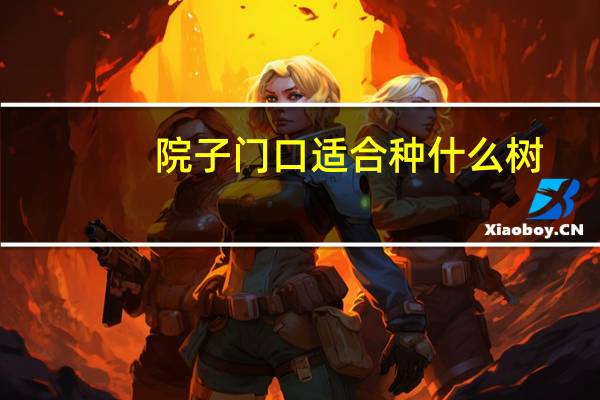 院子门口适合种什么树