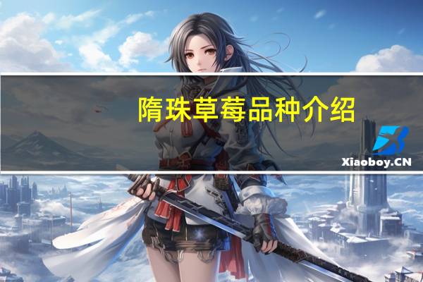 隋珠草莓品种介绍