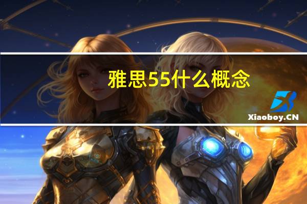 雅思55什么概念
