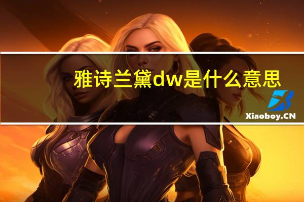 雅诗兰黛dw是什么意思