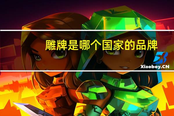 雕牌是哪个国家的品牌