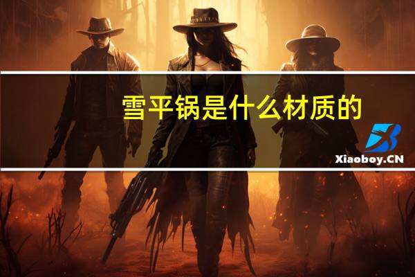 雪平锅是什么材质的
