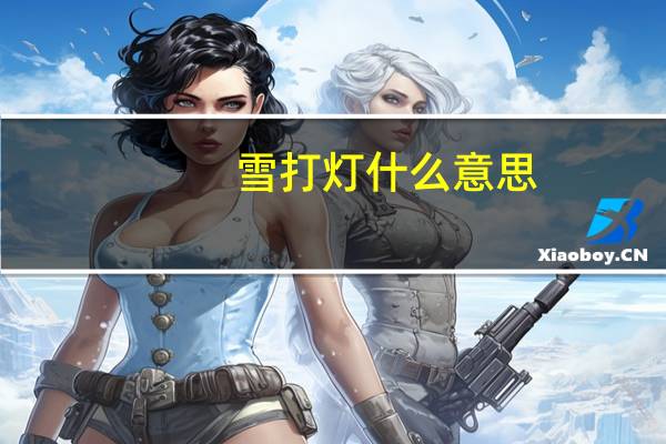 雪打灯什么意思
