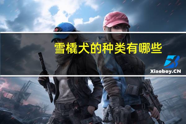 雪橇犬的种类有哪些