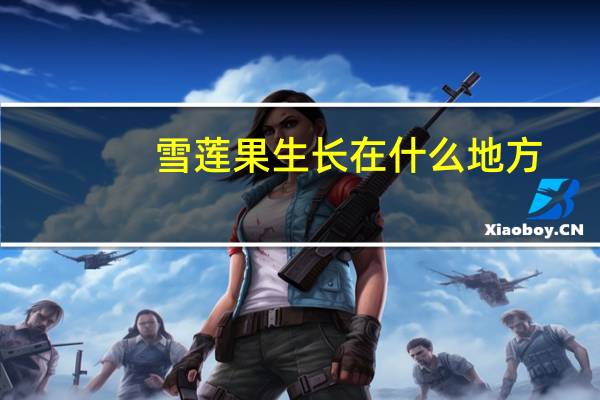 雪莲果生长在什么地方