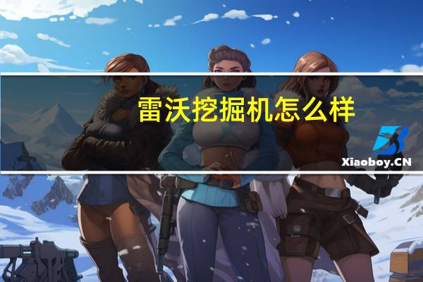雷沃挖掘机怎么样