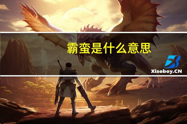霸蛮是什么意思