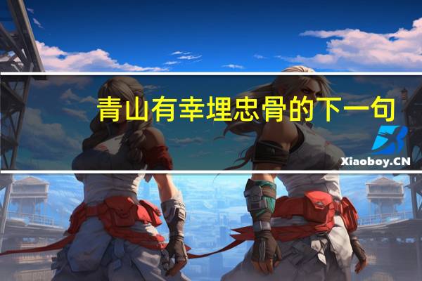 青山有幸埋忠骨的下一句