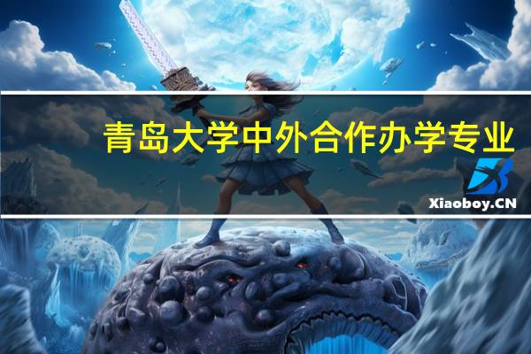 青岛大学中外合作办学专业