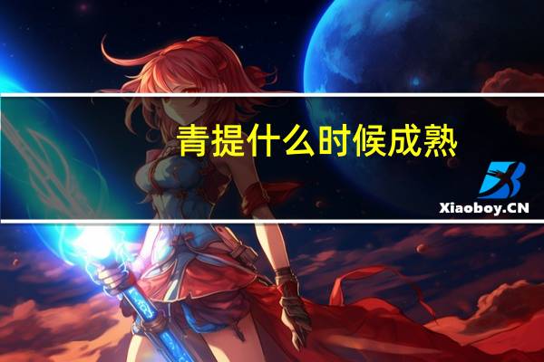 青提什么时候成熟