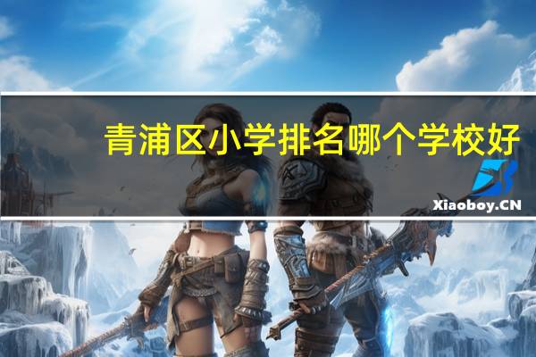 青浦区小学排名哪个学校好