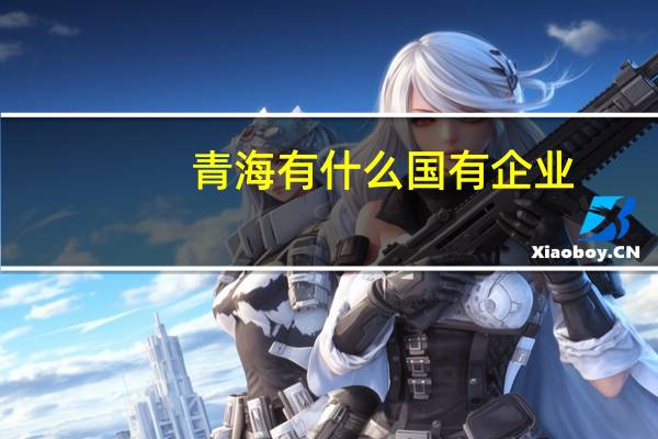 青海有什么国有企业