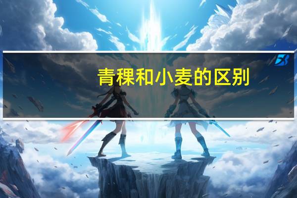 青稞和小麦的区别