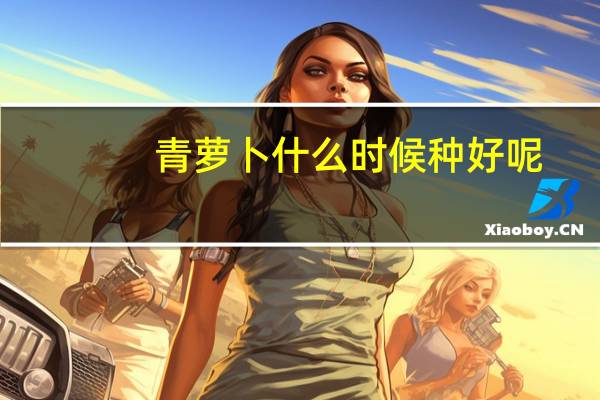 青萝卜什么时候种好呢