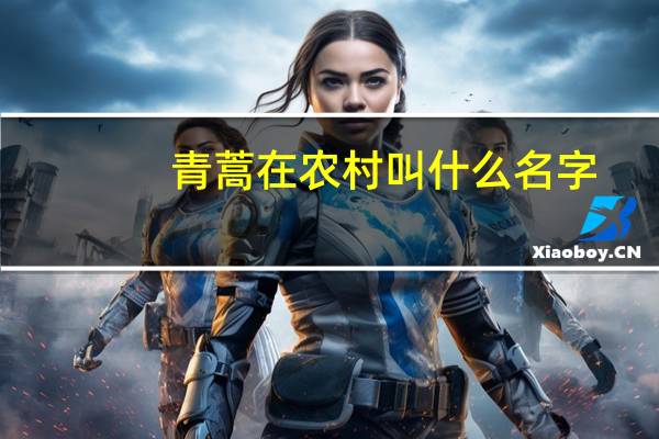 青蒿在农村叫什么名字
