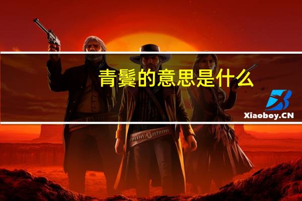 青鬓的意思是什么