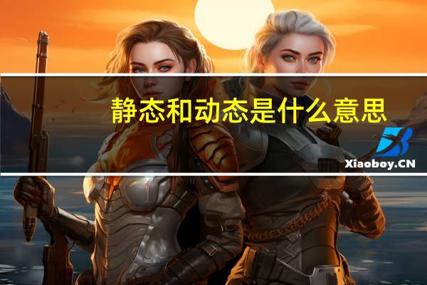 静态和动态是什么意思