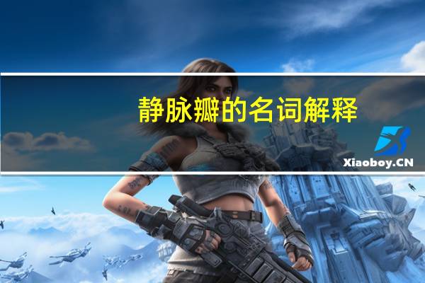 静脉瓣的名词解释