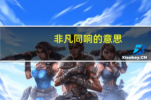 非凡同响的意思