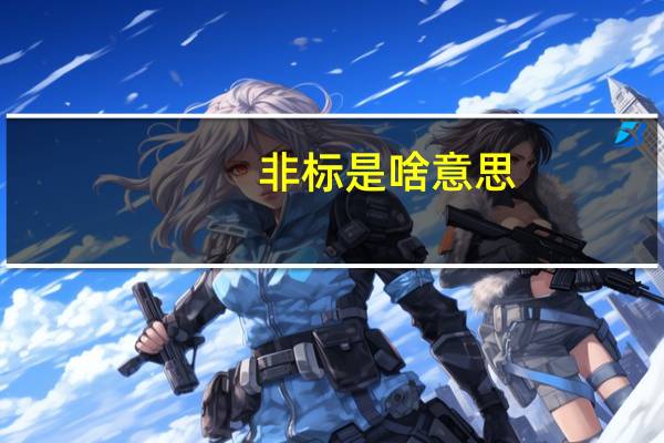 非标是啥意思