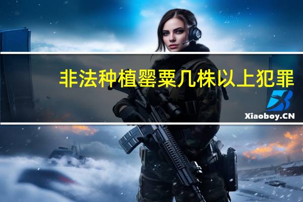 非法种植罂粟几株以上犯罪