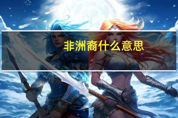非洲裔什么意思