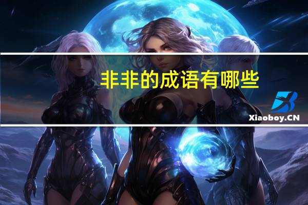 非非的成语有哪些