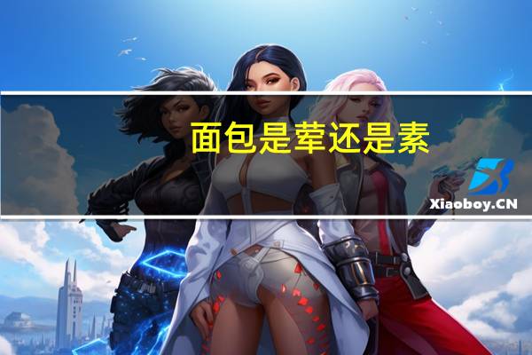 面包是荤还是素