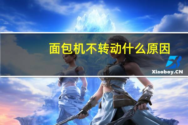 面包机不转动什么原因