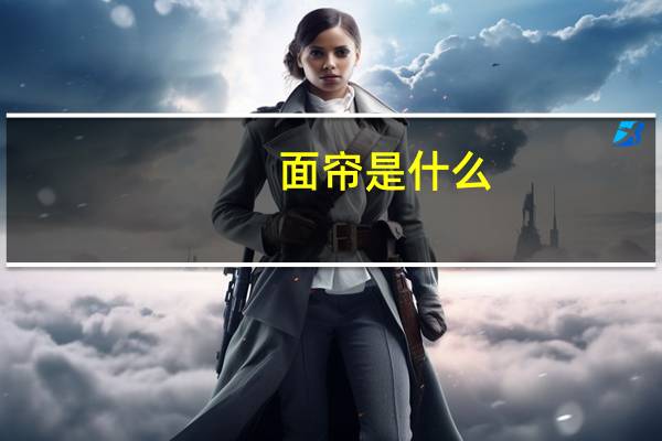 面帘是什么