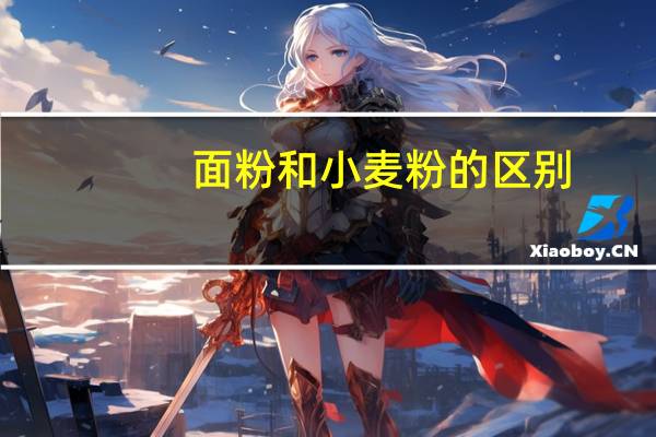 面粉和小麦粉的区别