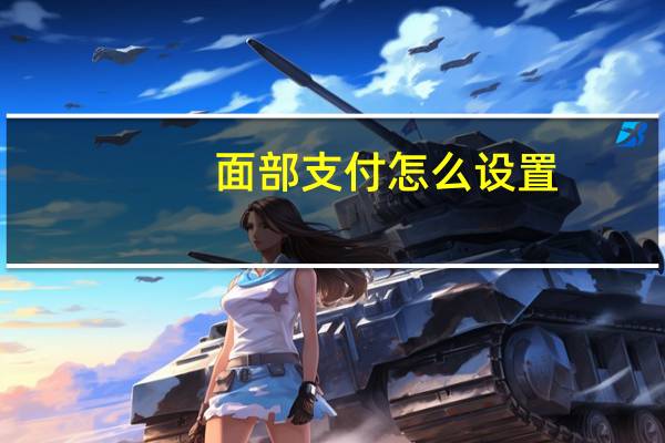 面部支付怎么设置
