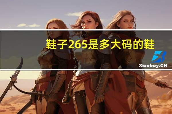 鞋子265是多大码的鞋