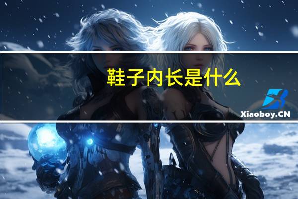 鞋子内长是什么