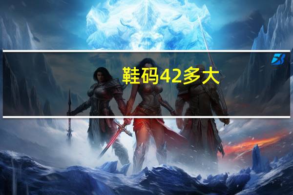 鞋码42多大