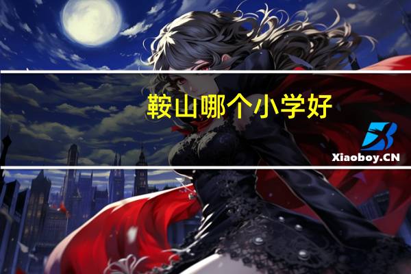 鞍山哪个小学好