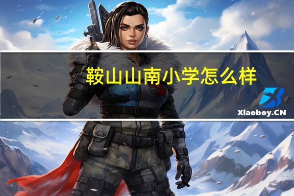 鞍山山南小学怎么样