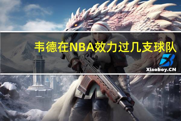 韦德在NBA效力过几支球队